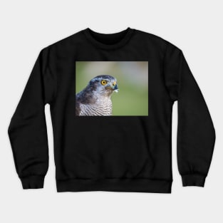 Close up view of a falcon Crewneck Sweatshirt